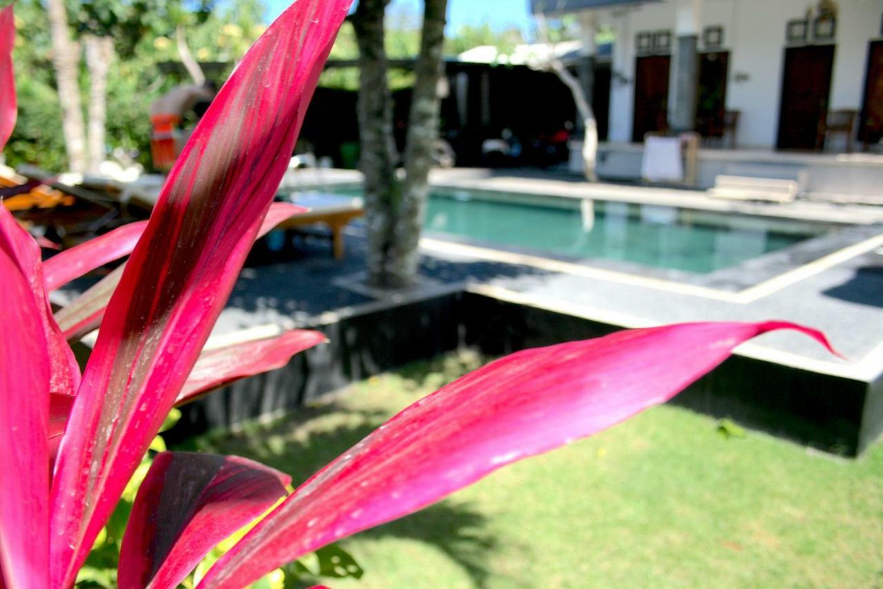 Uluwatu Made Guesthouse エクステリア 写真
